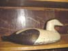Eider mle par Harold Burke, Drumhead, Nova Scotia, 1930.