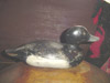 Morillon, Mason factory decoy 