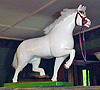 Cheval en bois en mouvement sculpt dans une seule pice de bois